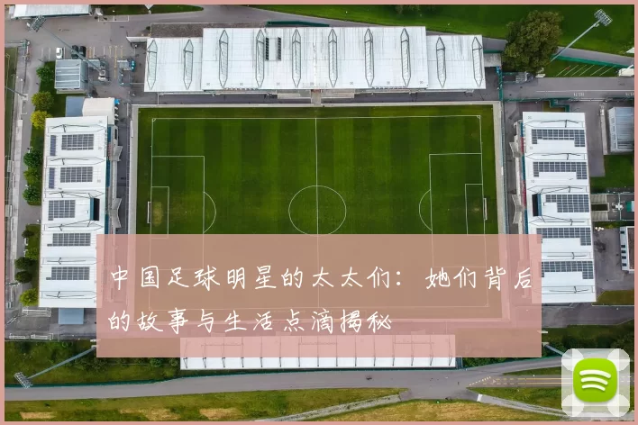中国足球明星的太太们：她们背后的故事与生活点滴揭秘