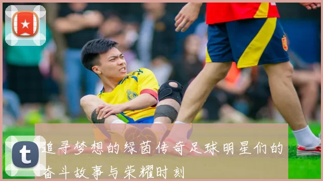 追寻梦想的绿茵传奇足球明星们的奋斗故事与荣耀时刻