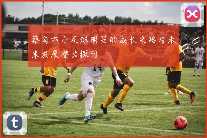 蔡甸四小足球明星的成长之路与未来发展潜力探讨