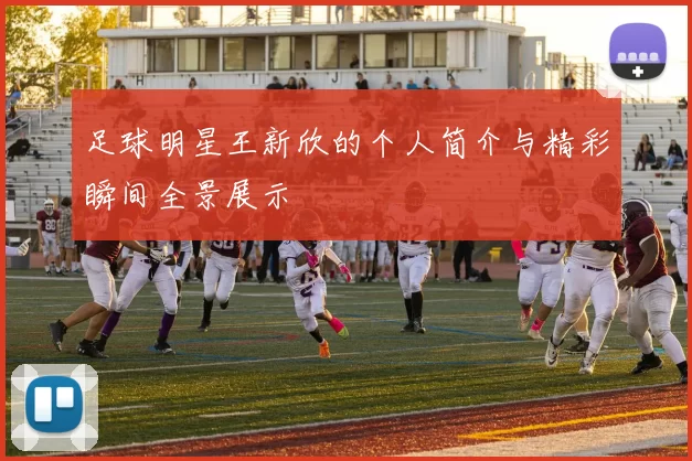 足球明星王新欣的个人简介与精彩瞬间全景展示